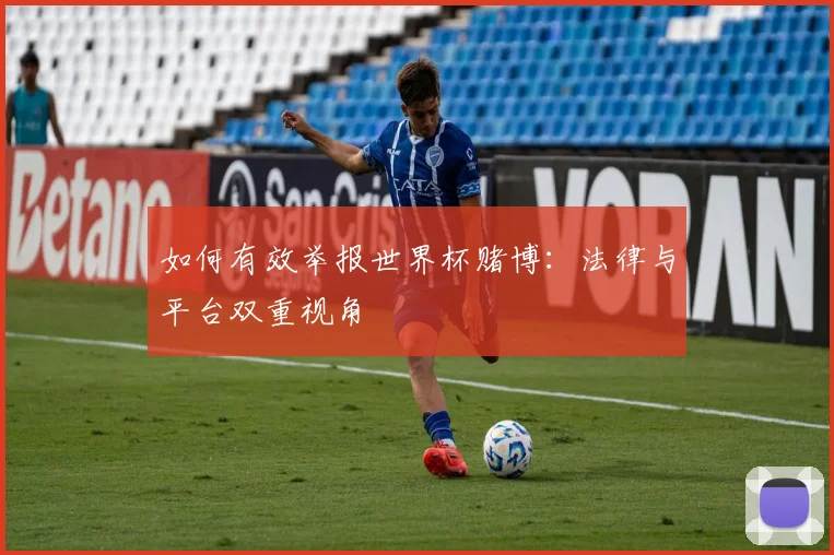 如何有效举报世界杯赌博:法律与平台双重视角
