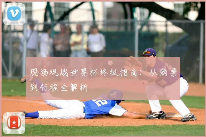 现场观战世界杯终极指南:从购票到行程全解析