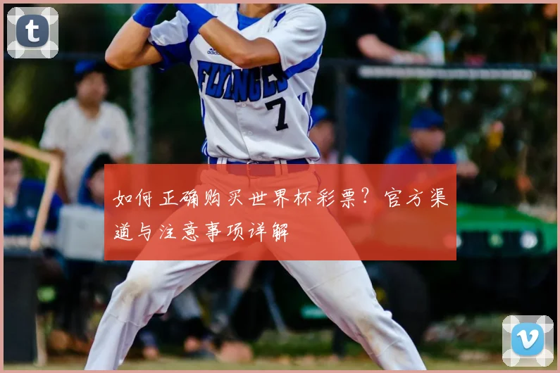 如何正确购买世界杯彩票?官方渠道与注意事项详解
