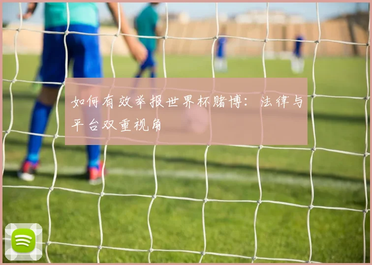 如何有效举报世界杯赌博:法律与平台双重视角